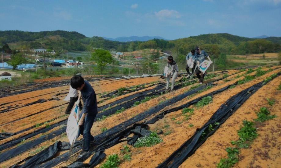 2015학년도 봉사활동